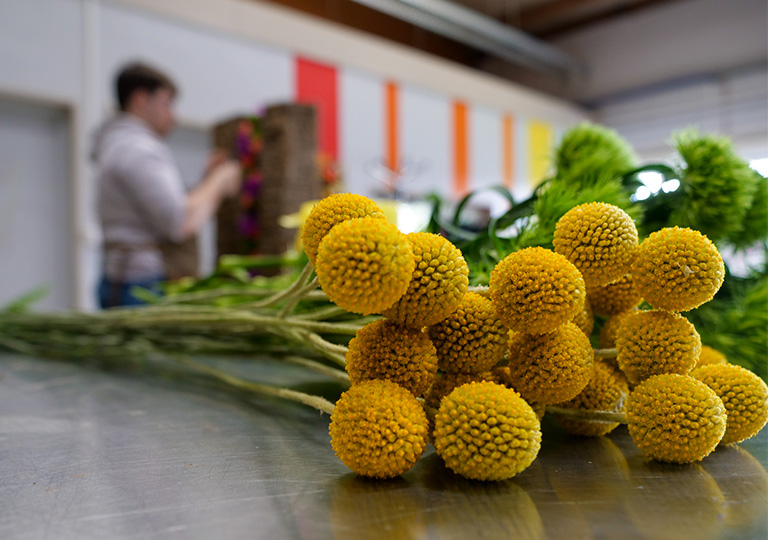 Qualifications régionales Meilleur apprenti de France fleuriste à l'EDM